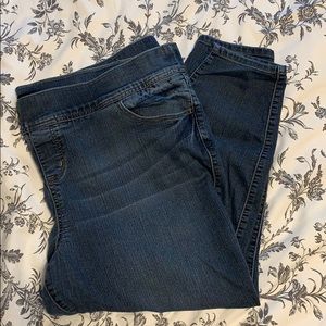 Torrid Skinny Jeans 3x Short